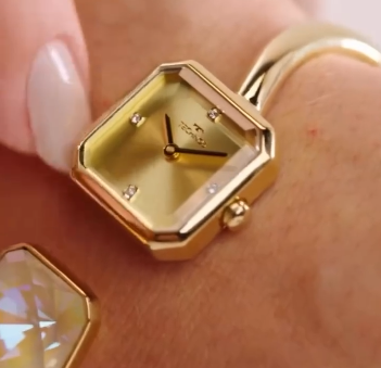 Acessórios Diversos como Cintos, Carteiras e Relógios